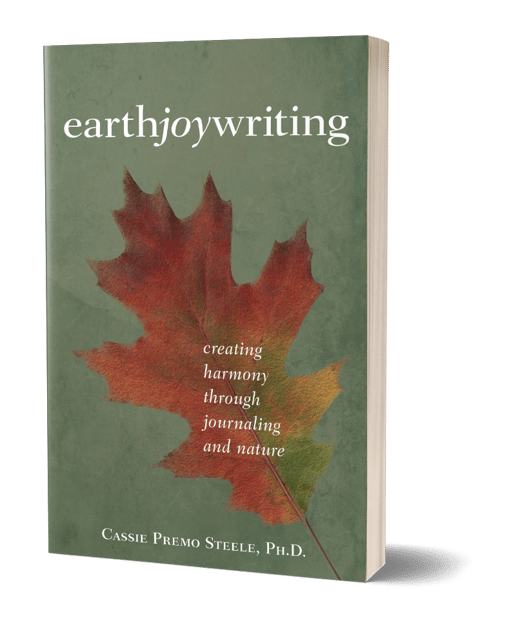 6b429c7d-03c2-40dd-a1d8-00a17aaacf35-other_photos_files-earth_joy_writing_800