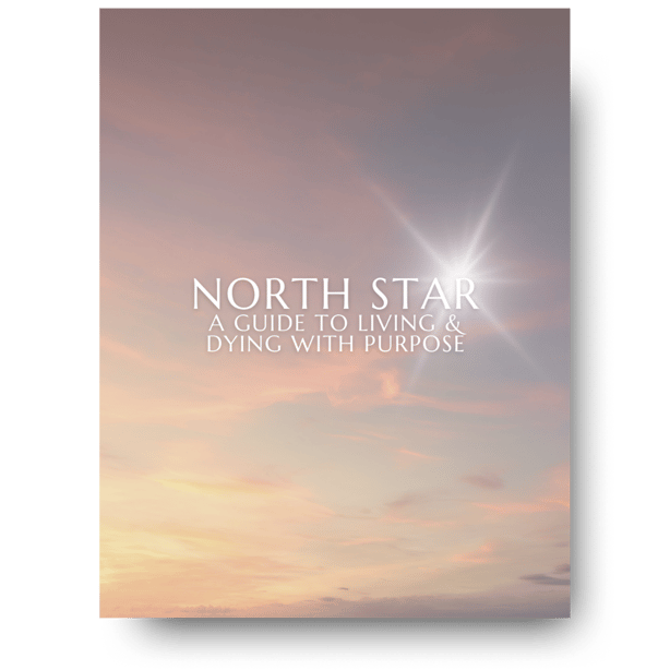 NSG Promo Graphic